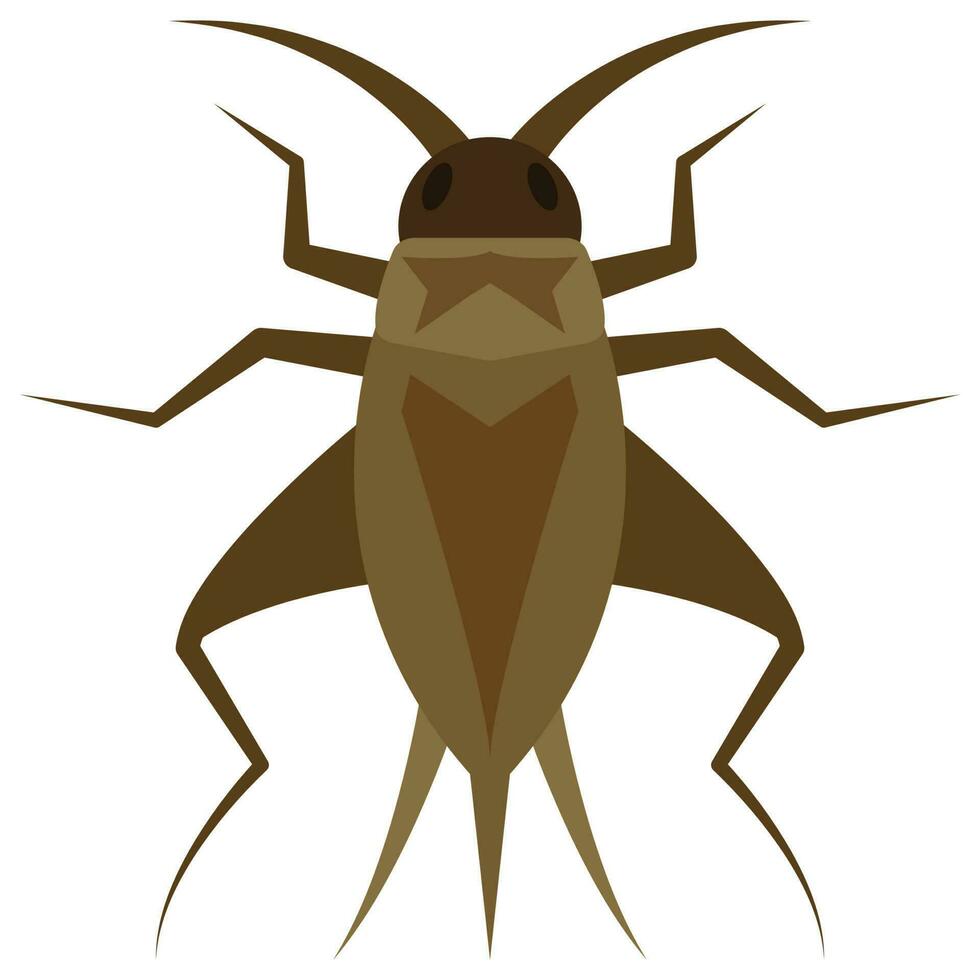 Flat color icon for cricket bug. vector