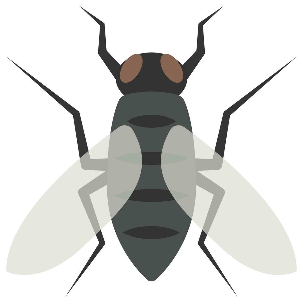 Flat color icon for fly bug. vector