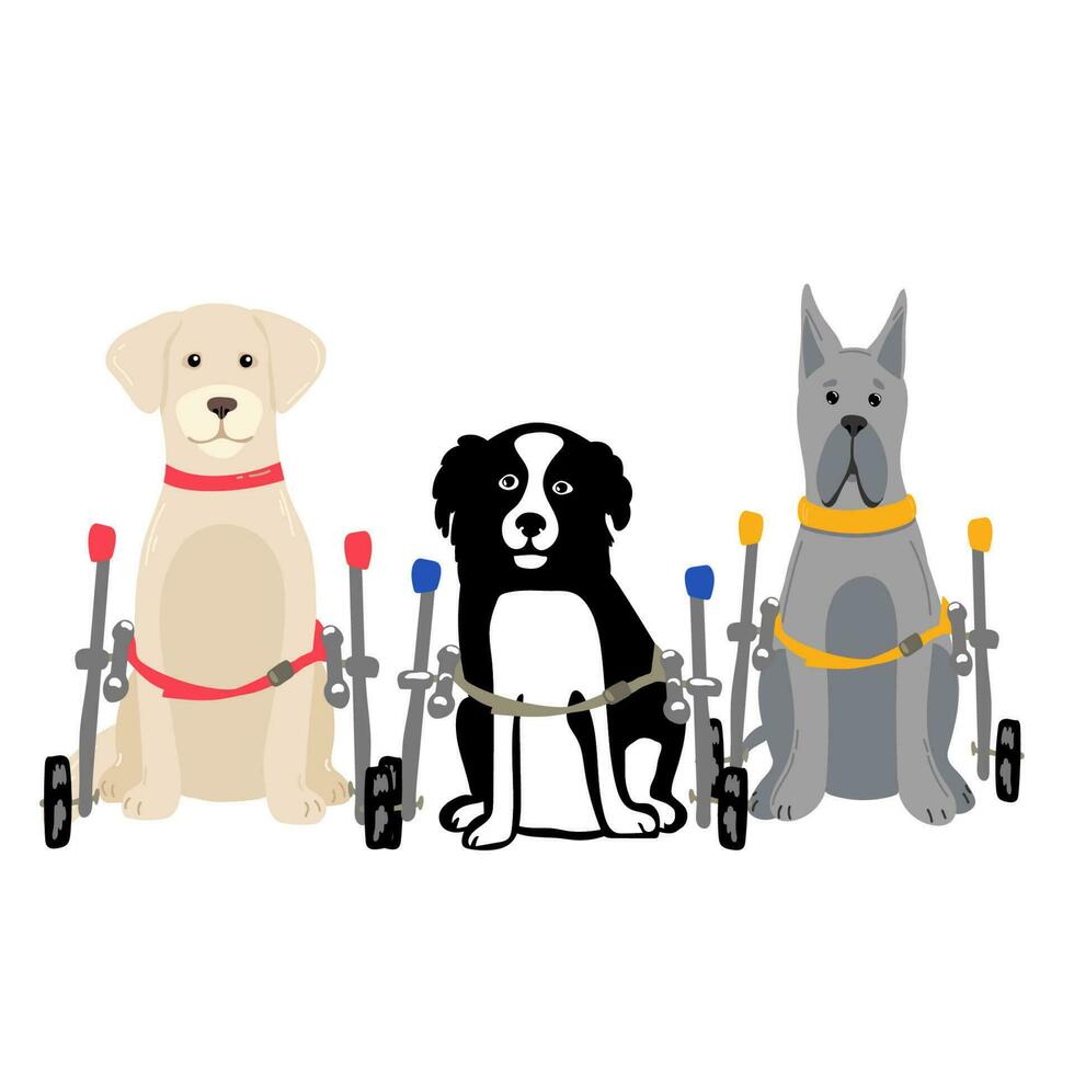 Dog in a wheelchair for the hind paws. Vector illustration in a flat style.