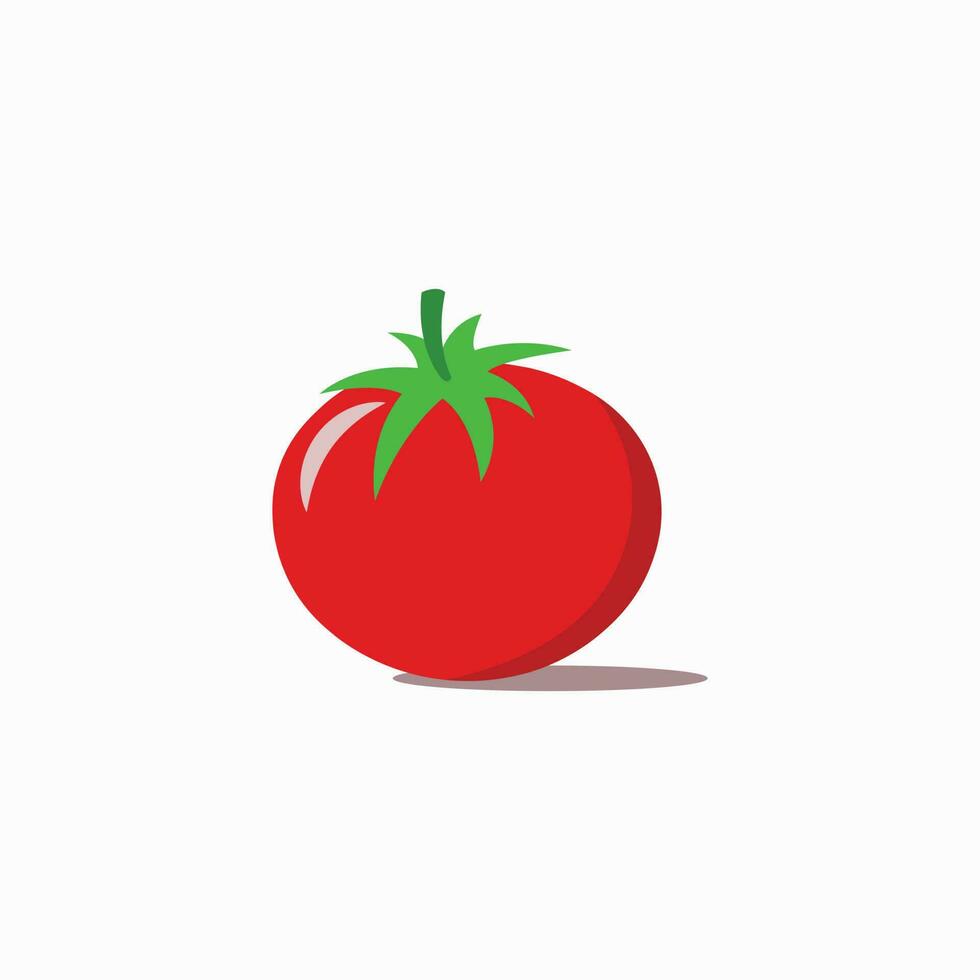 Red tomato vector illustration.