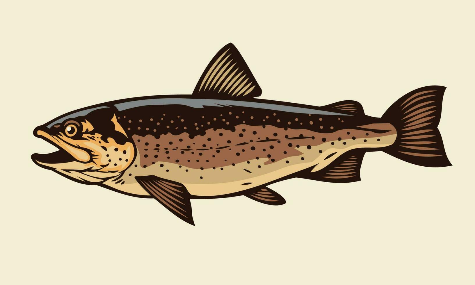 trout fish drawing vector