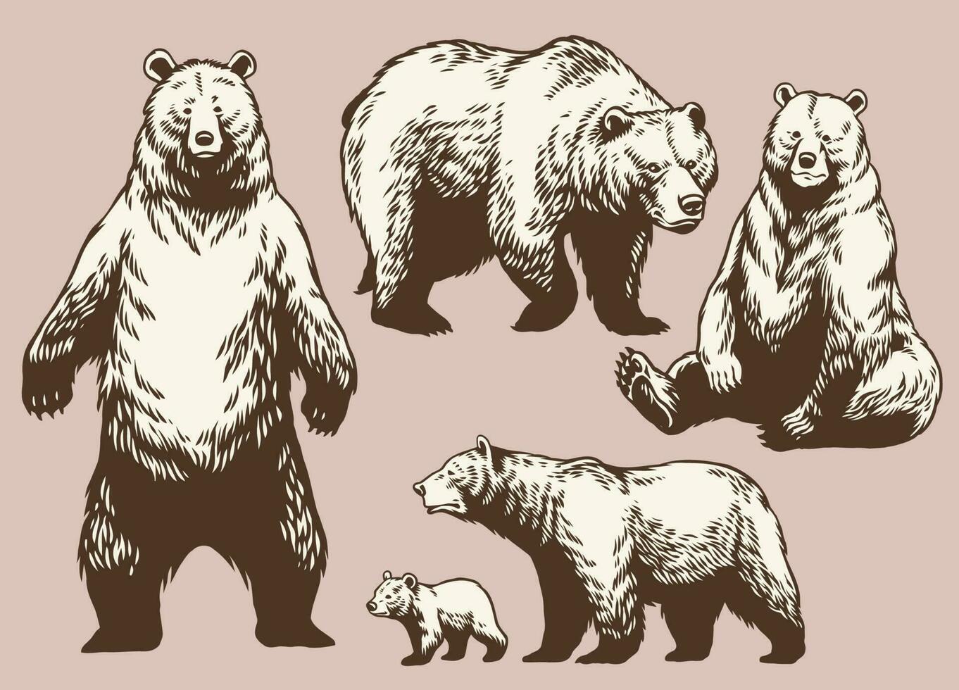 Set of Hand Drawn Bear Collection in Vintage Style vector