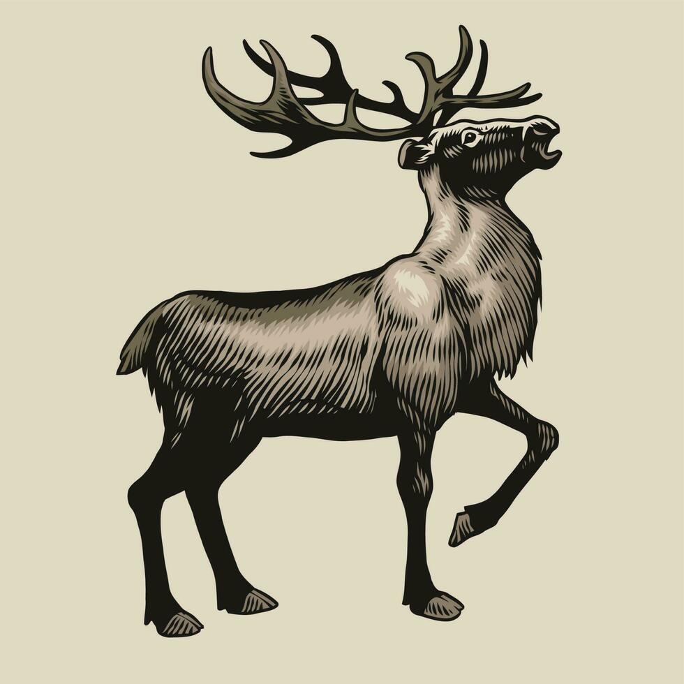 Vintage Drawing of Reindeer vector