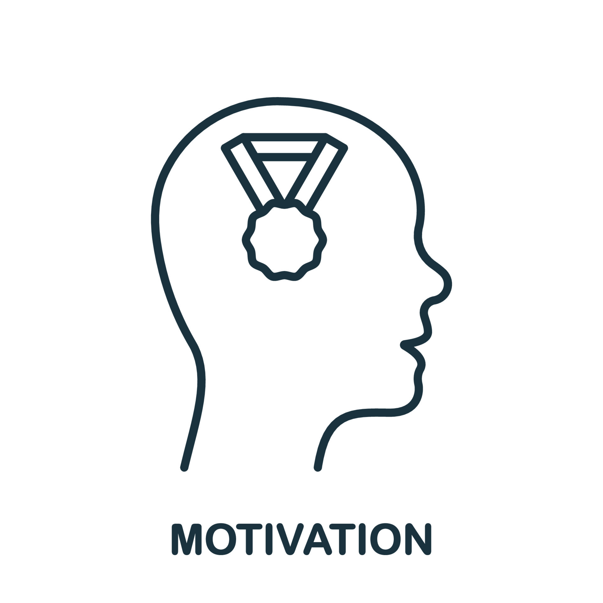Motivation Line Icon. Leader Motivate for Goal Achievement Linear  Pictogram. Medal for Leadership in Sport Competition Outline Sign.  Challenge Symbol. Editable Stroke. Isolated Vector Illustration. 23172497  Vector Art at Vecteezy