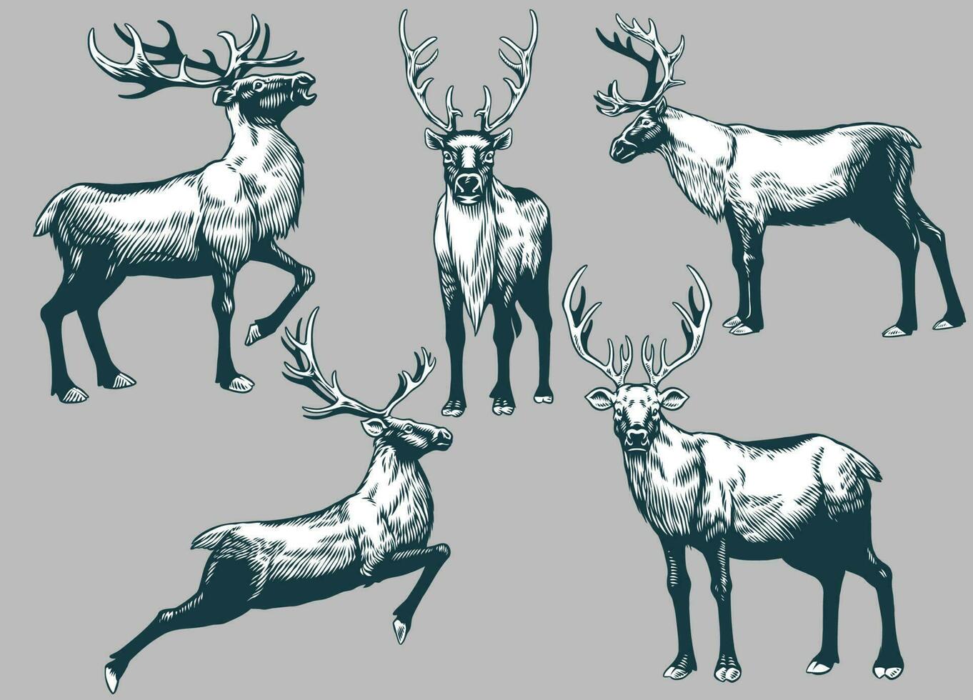 Set of Hand Drawn vintage Reindeer vector