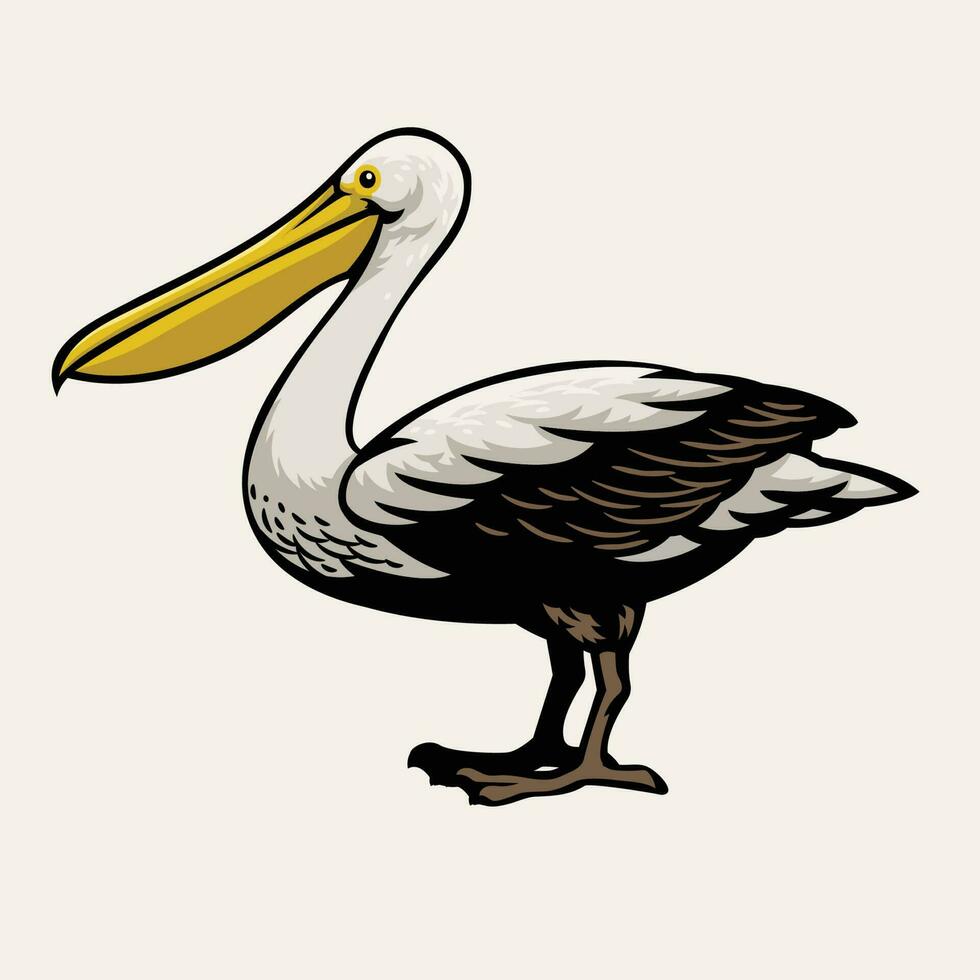 Pelican bird drawing vector