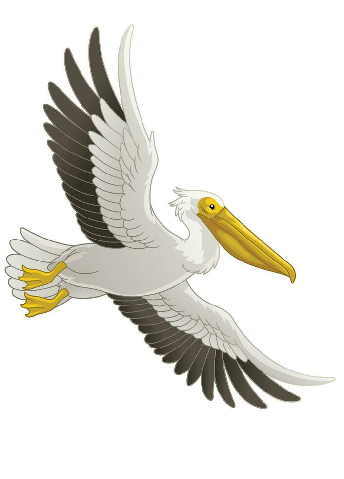 genial blanco pelícano pájaro volador vector