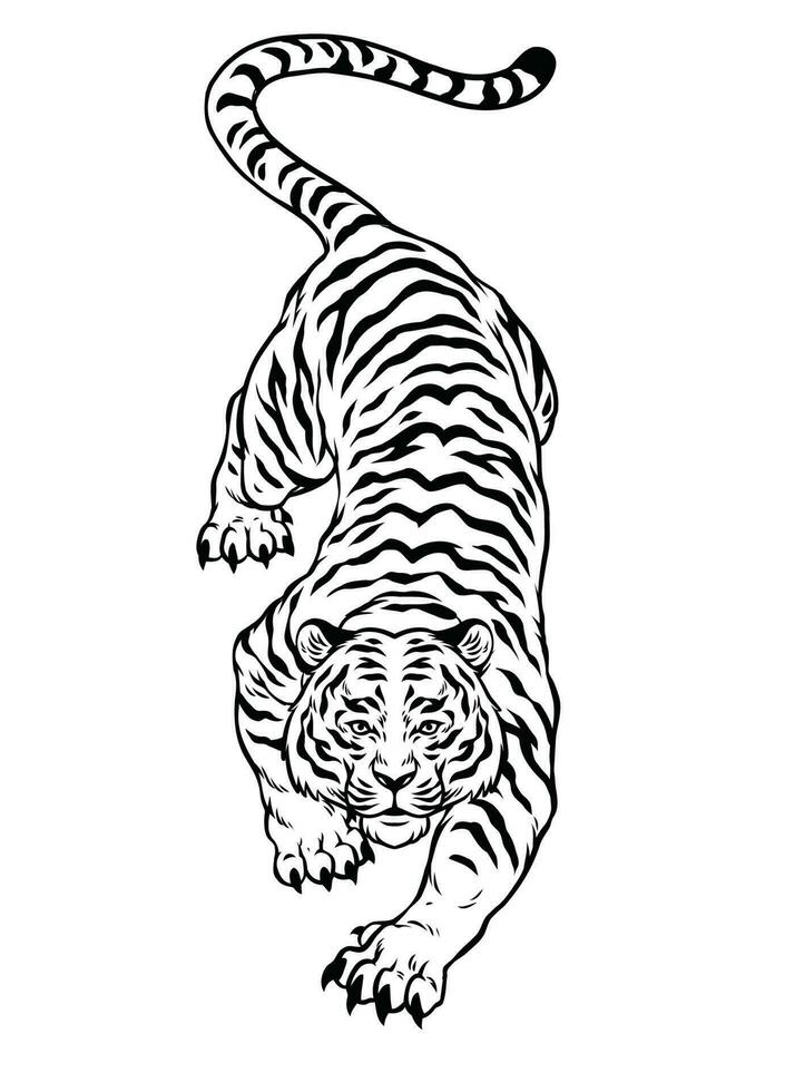 mano dibujado de negro y blanco agachado enojado Tigre vector