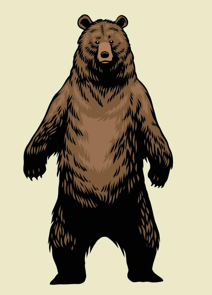 mano dibujado de en pie marrón oso pardo oso vector
