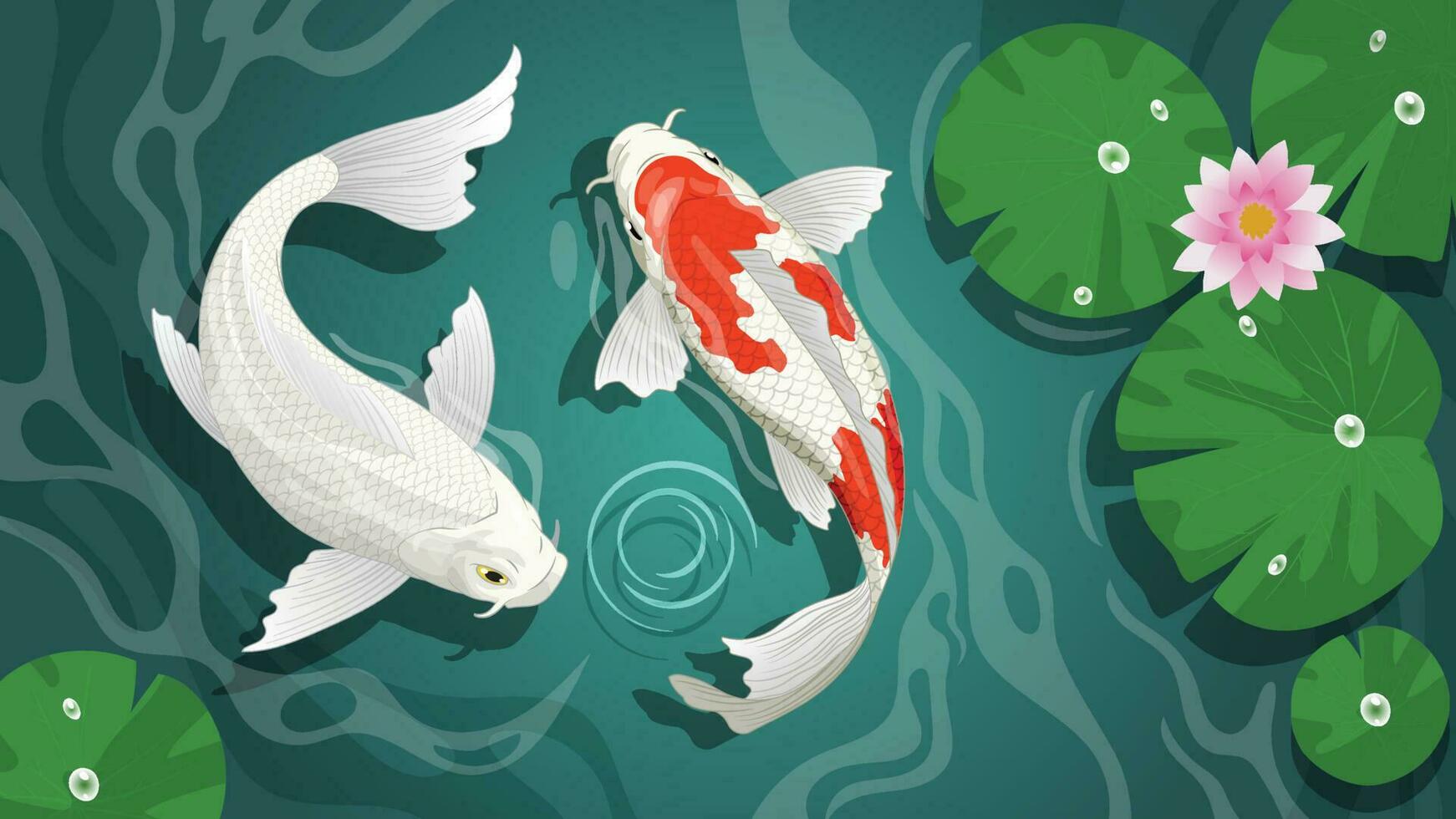 couple of beautiful koi in the pond vector