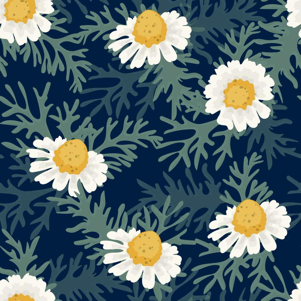 Seamless pattern of camomiles vector