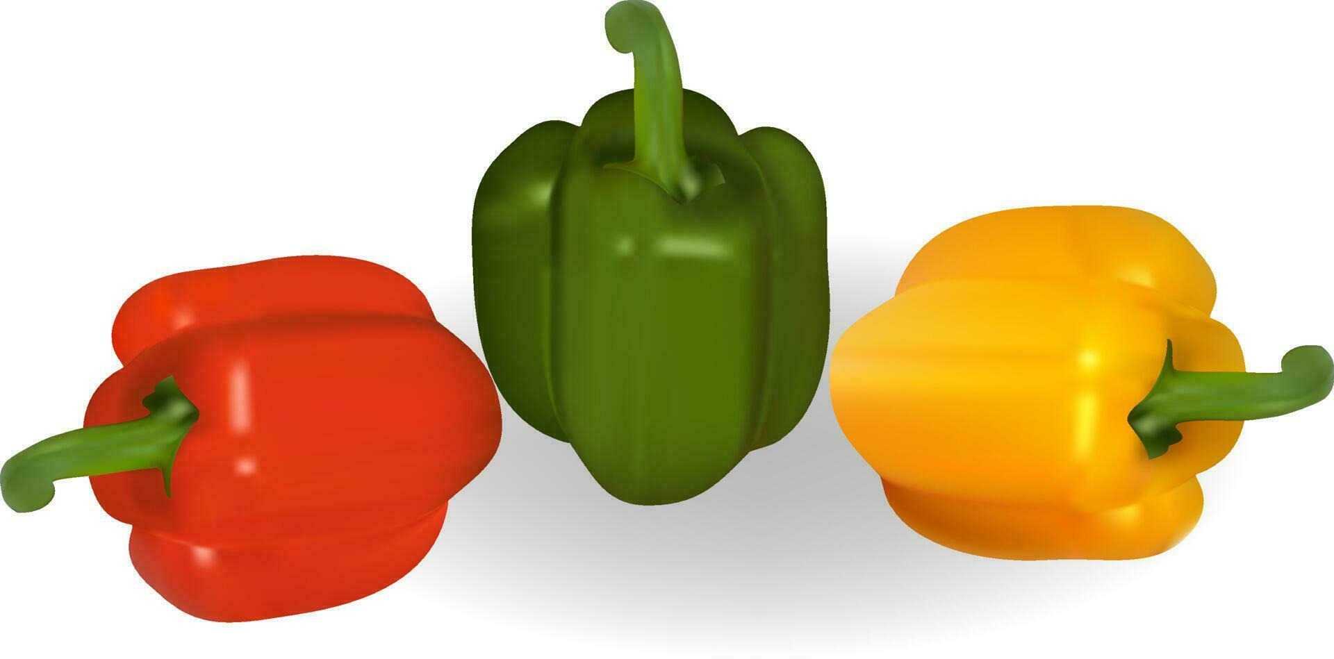 set of three multi-colored peppers. vector illustration