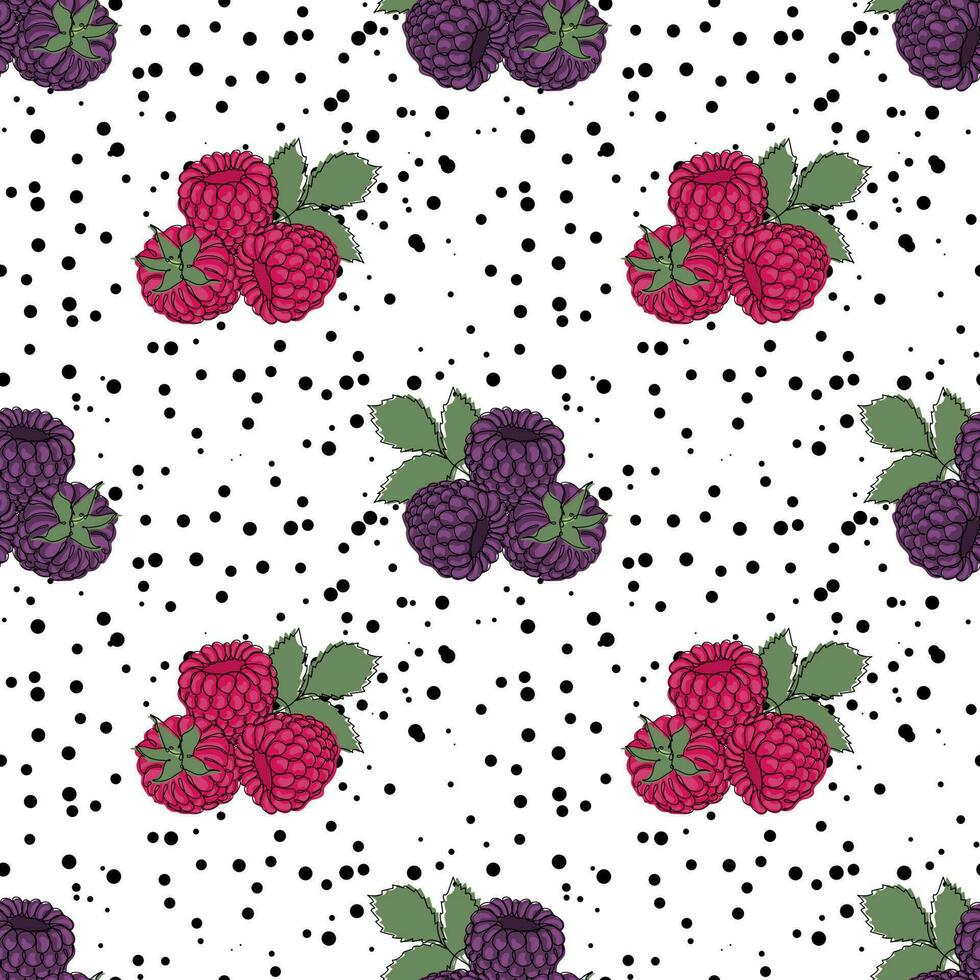 Seamless pattern of Raspberry and  Blackberry vector