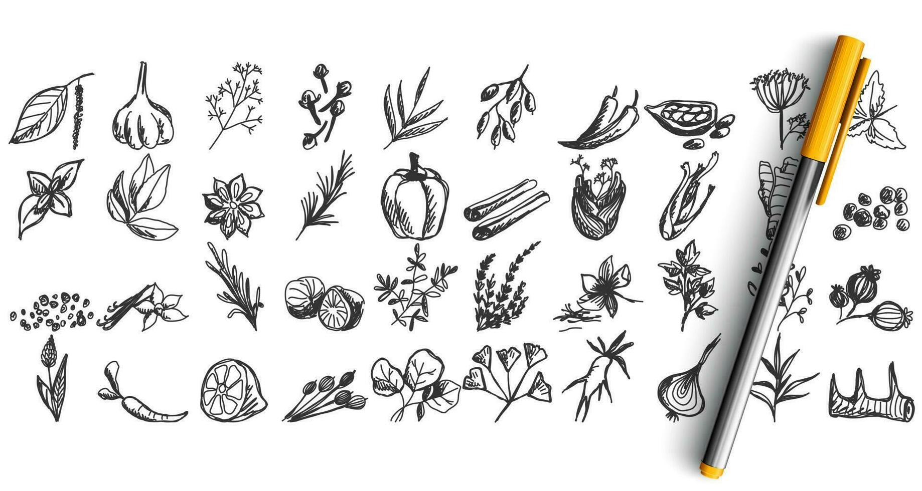 Spices doodle set vector