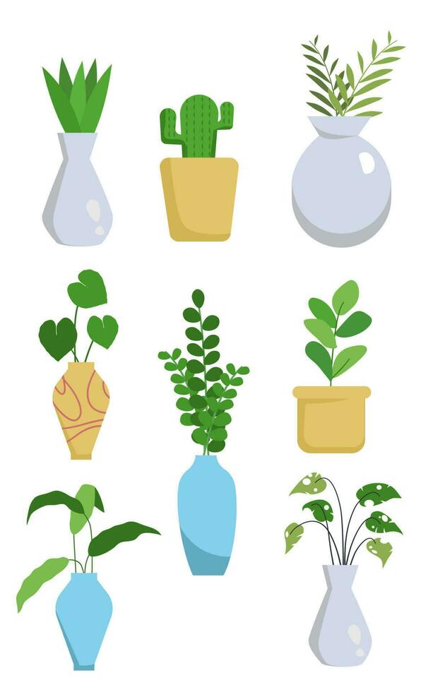 Botanical nature decorative plants vector