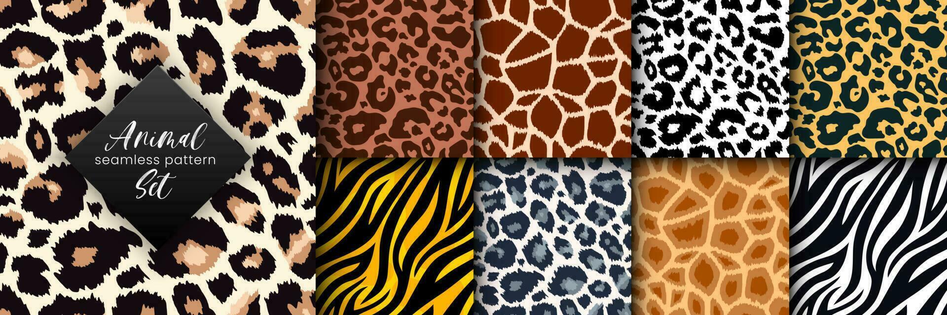 White Leopard Print Wallpapers  Top Free White Leopard Print Backgrounds   WallpaperAccess