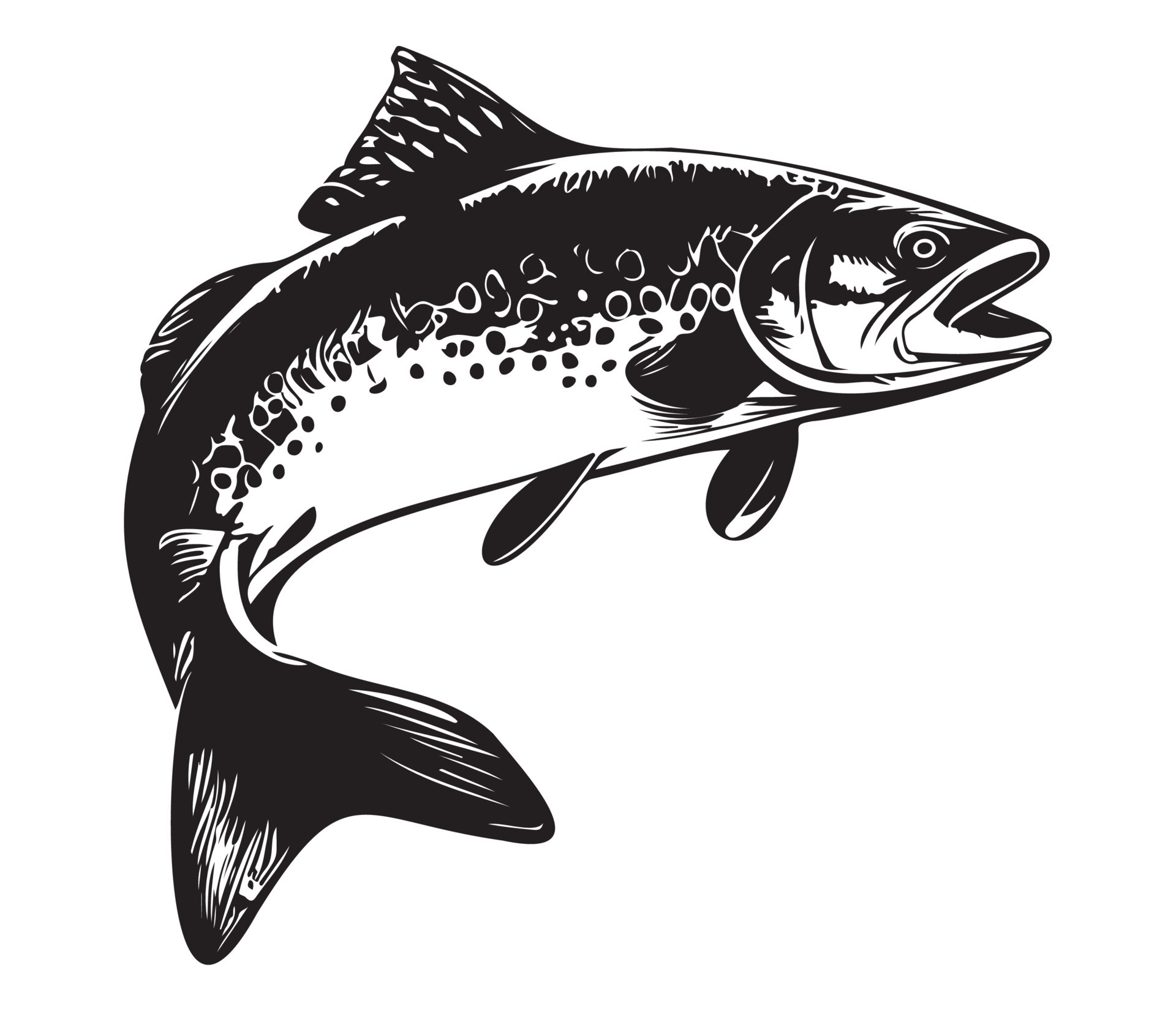 Trout Fish, trout jumping icon, Freshwater Salmon catch emblem, Fish