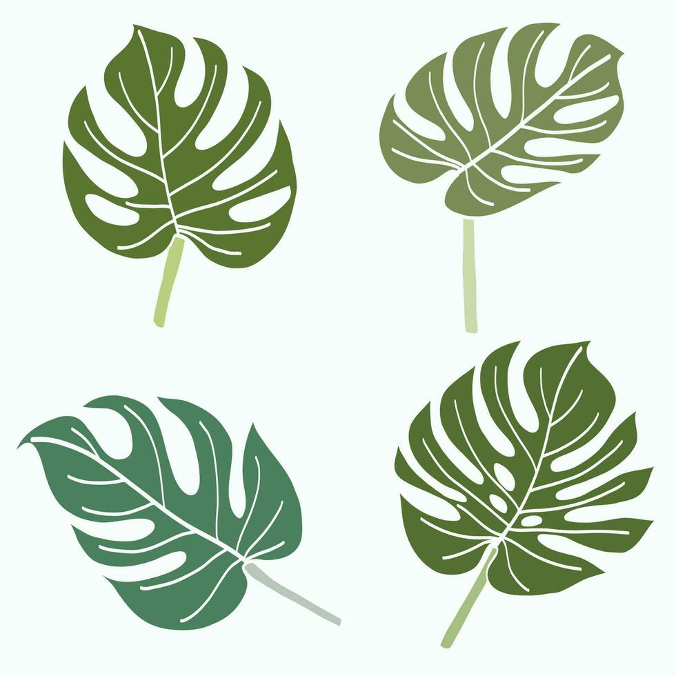 Simplicity monstera leaf freehand continuous line drawing flat design. vector