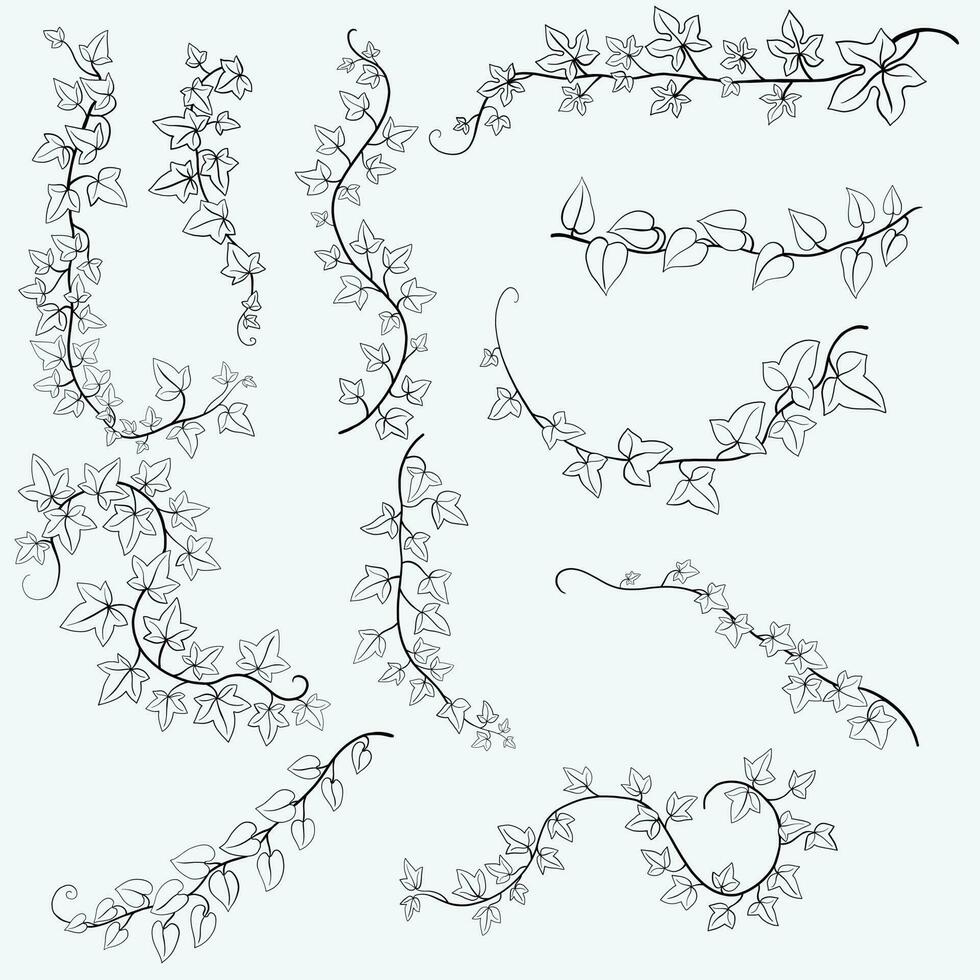 hiedra floral dibujo ornamento decorativo colección de diseño plano. vector