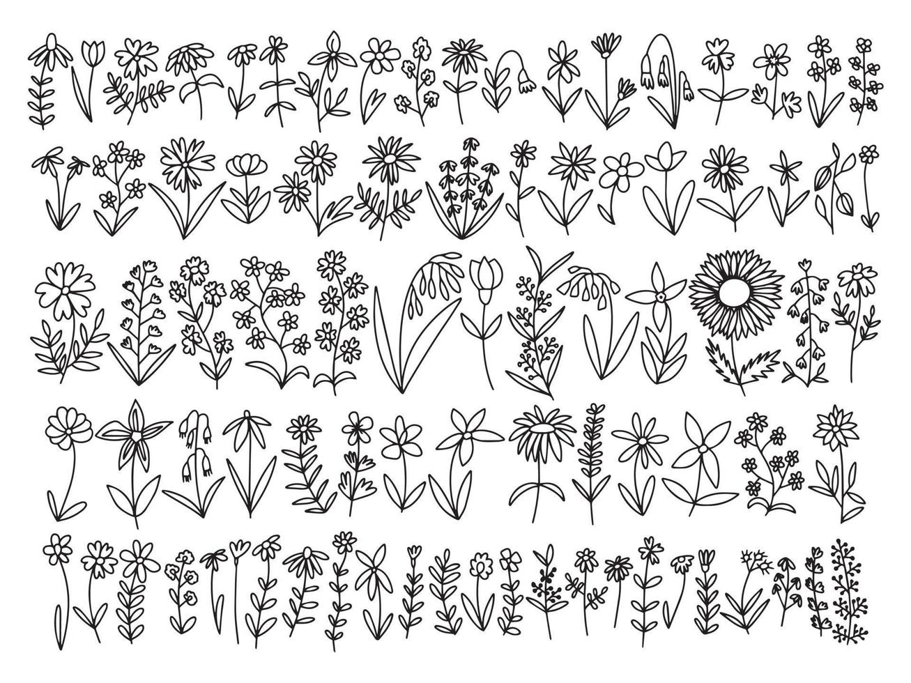 Vector doodle different kinds of flowers and herbs set. Big botanical wild flowers set