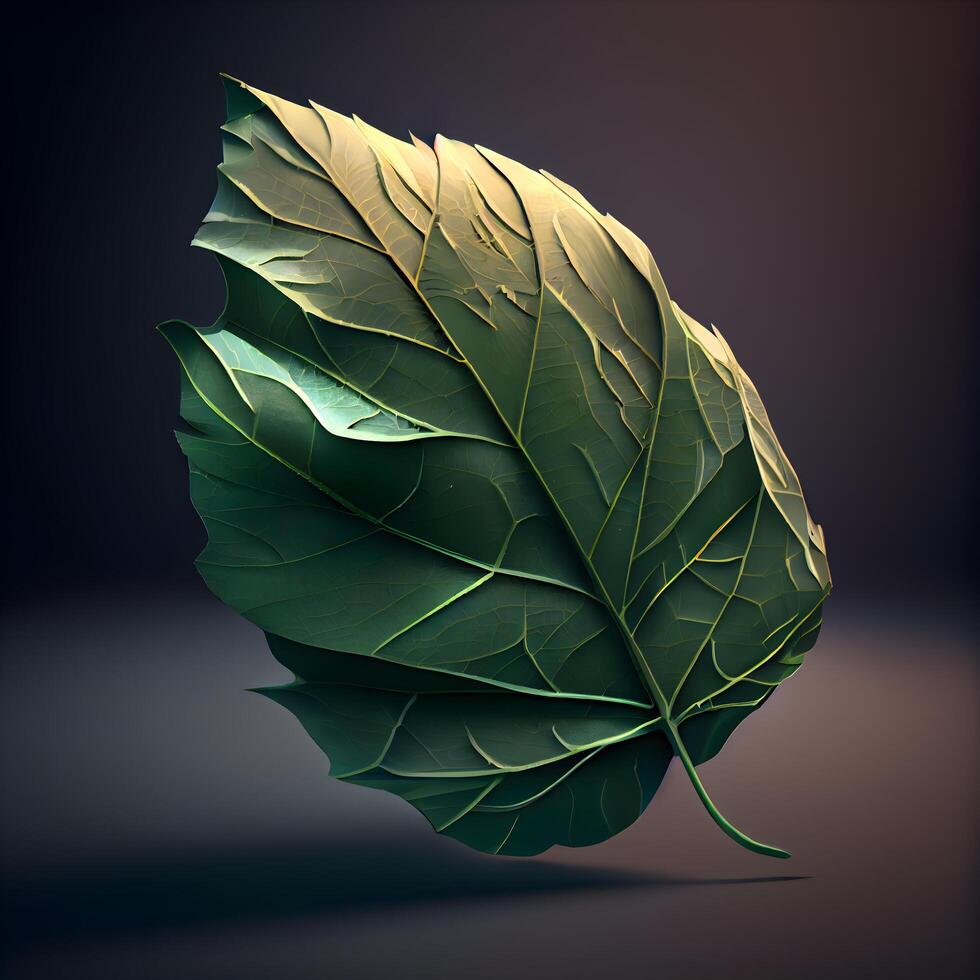Green leaf on a dark background. 3d render. Illustration., Image photo