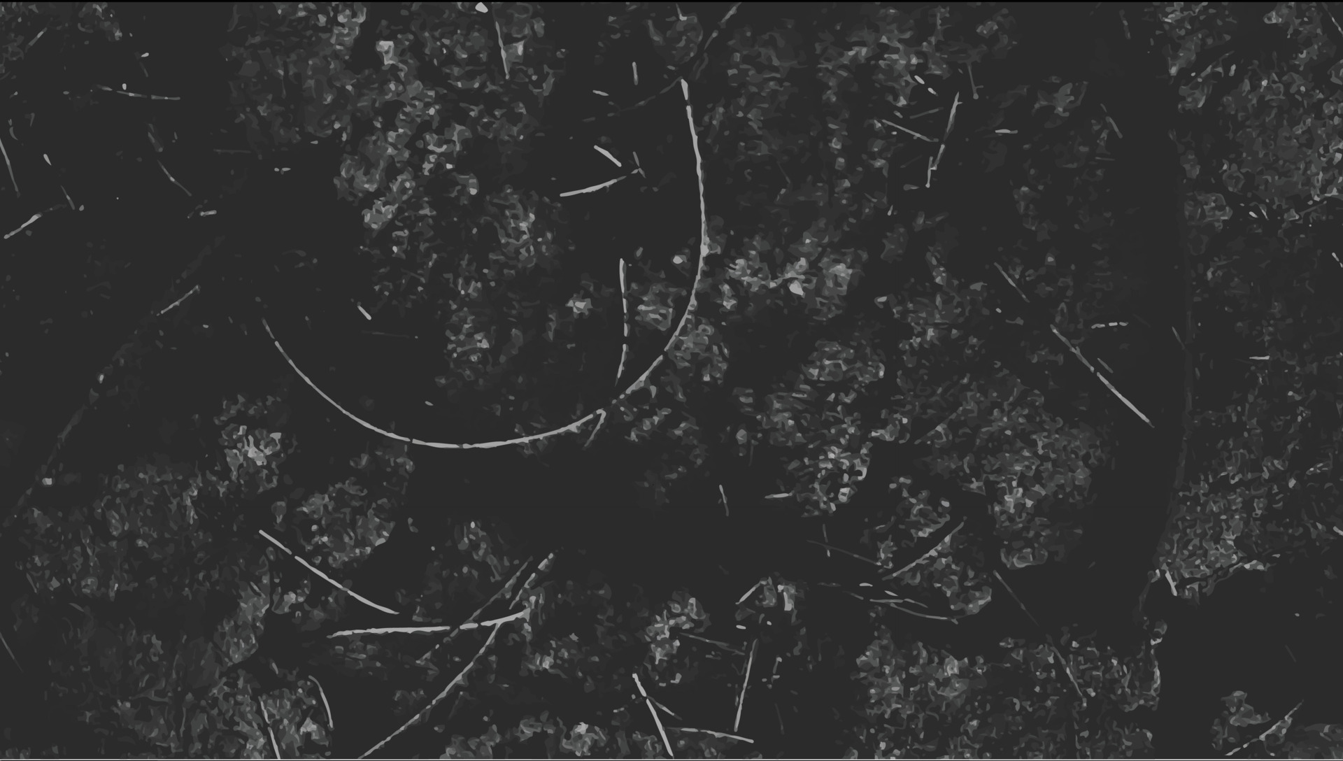 black board texture background with wome chalk streak scribble 23179447