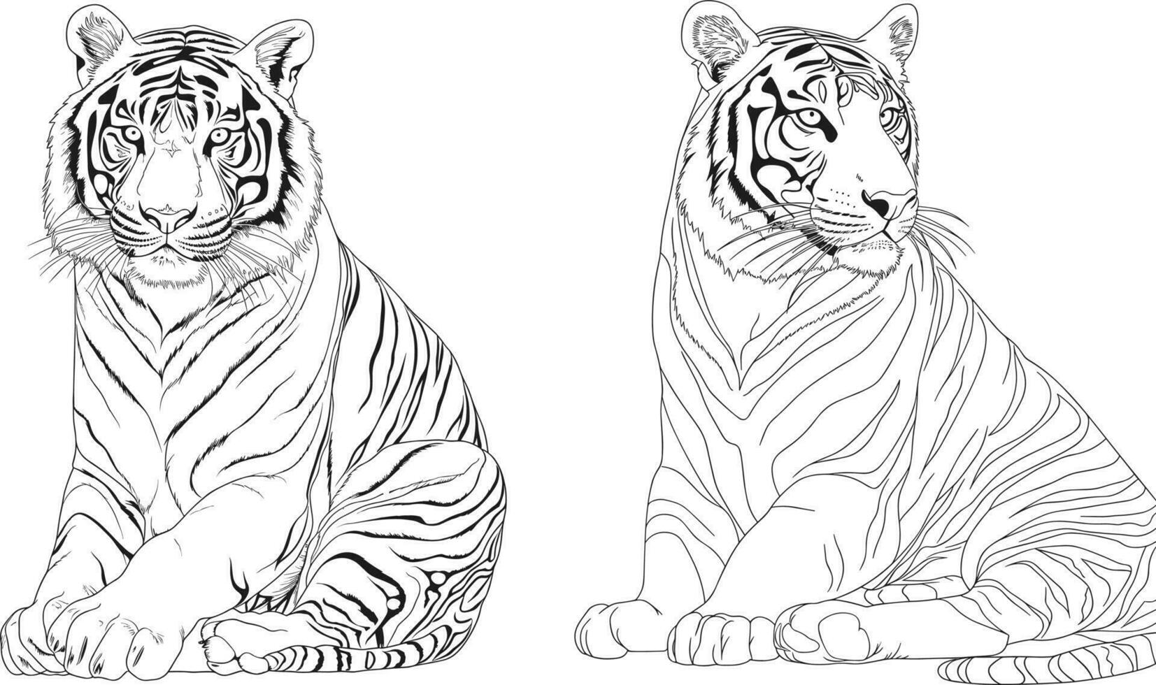 Tigre colorante paginas diseño vector