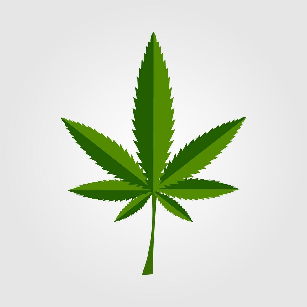 Green cannabis leaf icon design vector