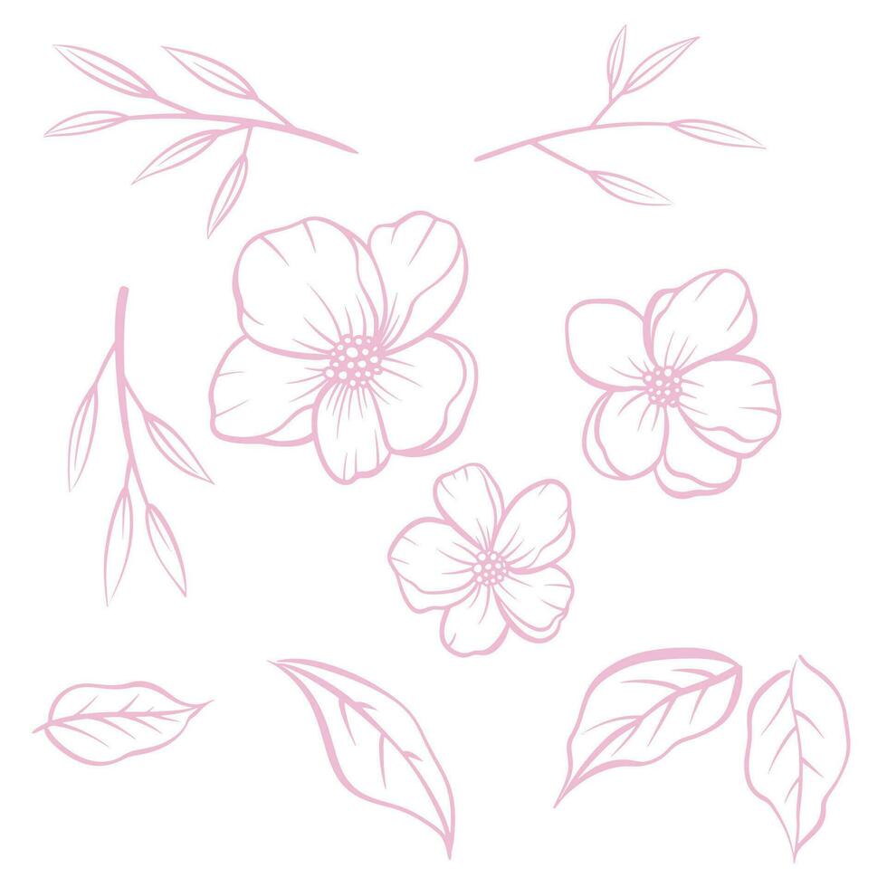 set of pink and white flowers vector