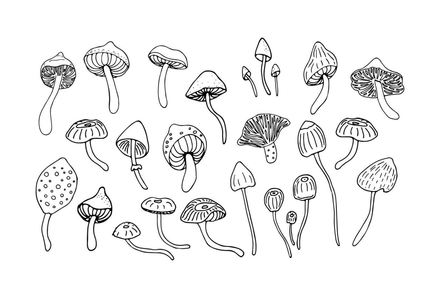 Black and white sketch of forest mushrooms. Set of cartoon or doodle style forest mushrooms. Vector illustration.