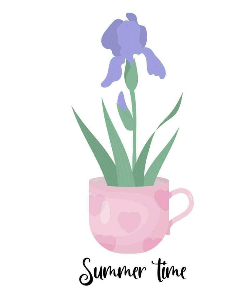 verano tiempo. flor iris en taza. vector ilustración. floreciente púrpura jardín flor para diseño, tarjeta, decoración y impresión.