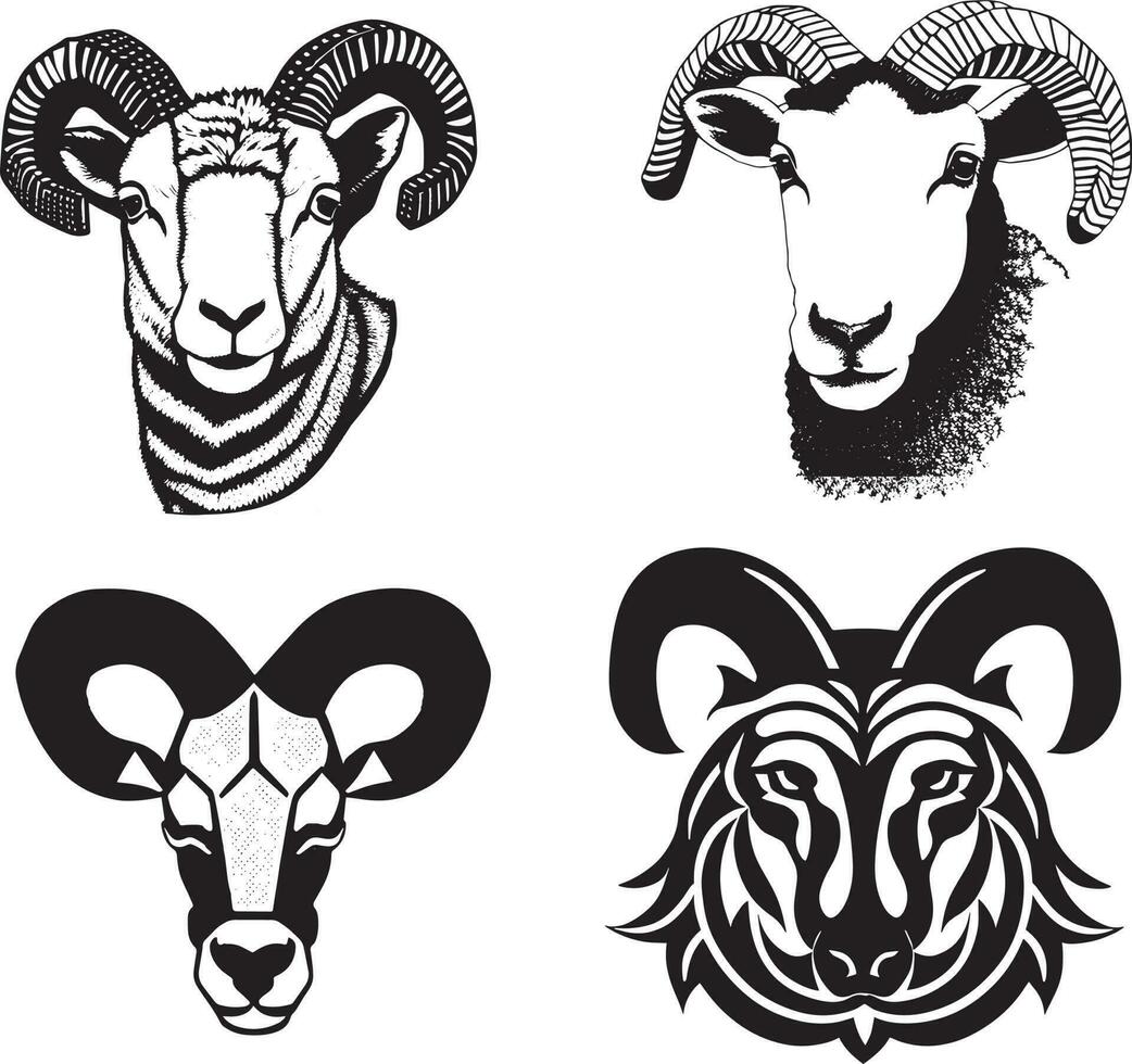 Black Sheep Breeds Head  Vector Illustration