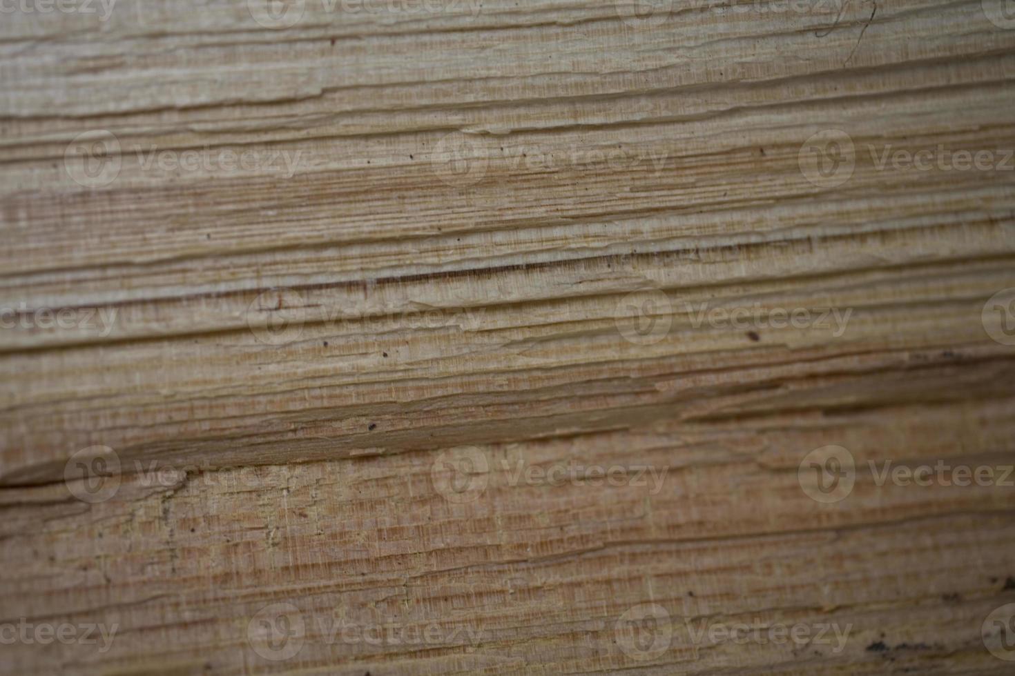 wood background sand photo