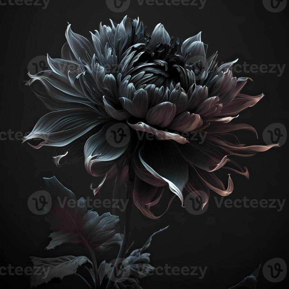 . . Macro shot of dark moody botanical flower. Can be used for graphic design or home decoration. Graphic Art photo
