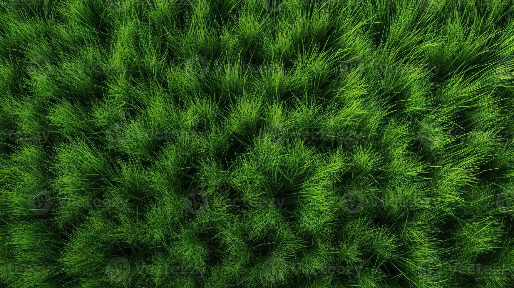 . . Concept of photo of green grass. Background pattern farming. Can be used for graphic design. Graphic Art