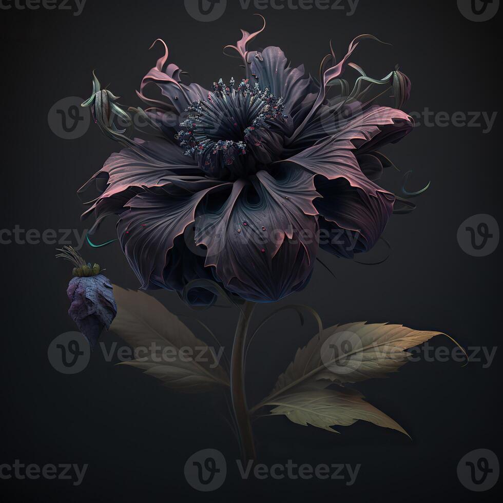 . . Macro shot of dark moody botanical flower. Can be used for graphic design or home decoration. Graphic Art photo