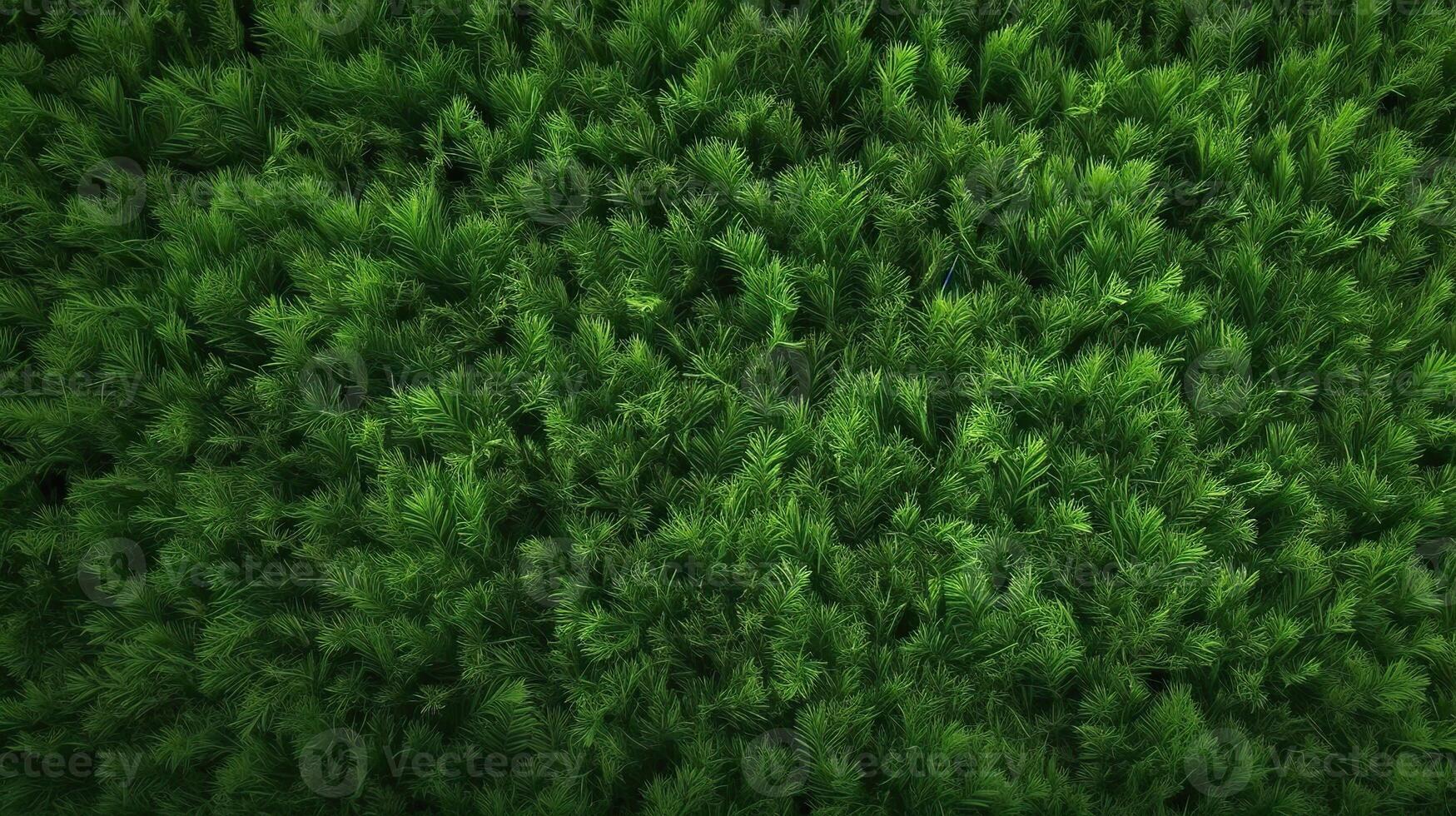 . . Concept of photo of green grass. Background pattern farming. Can be used for graphic design. Graphic Art