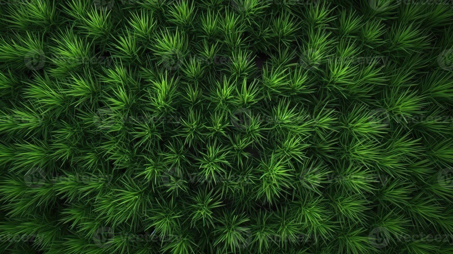 . . Concept of photo of green grass. Background pattern farming. Can be used for graphic design. Graphic Art