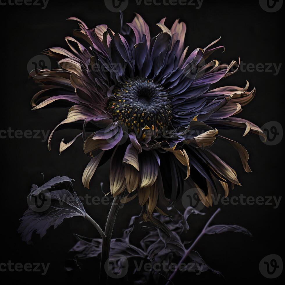 . . Macro shot of dark moody botanical flower. Can be used for graphic design or home decoration. Graphic Art photo