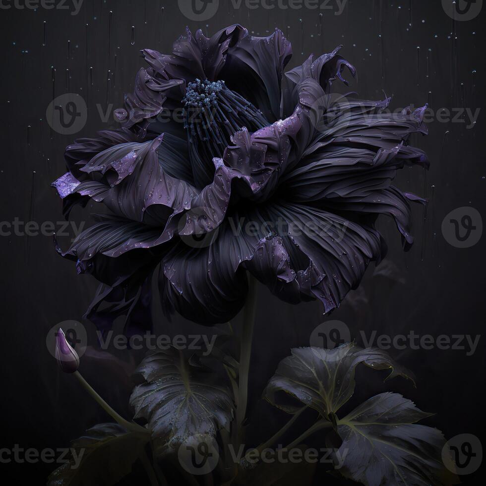 . . Macro shot of dark moody botanical flower. Can be used for graphic design or home decoration. Graphic Art photo