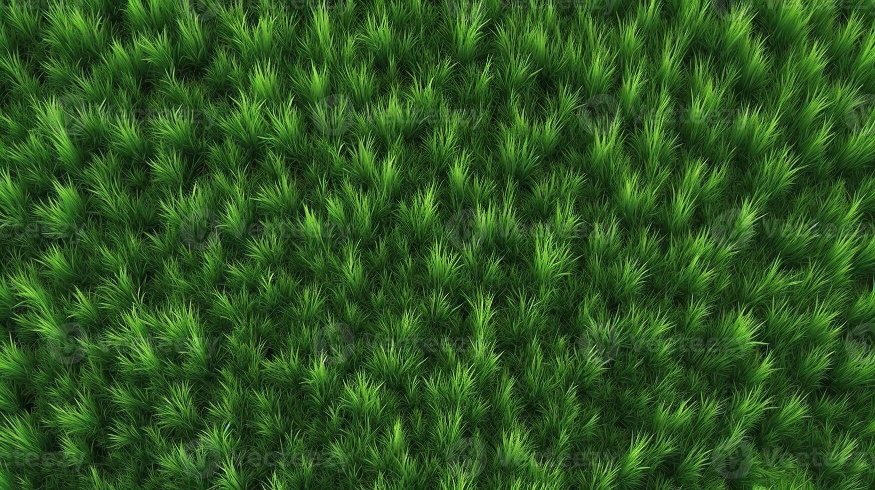 . . Concept of photo of green grass. Background pattern farming. Can be used for graphic design. Graphic Art