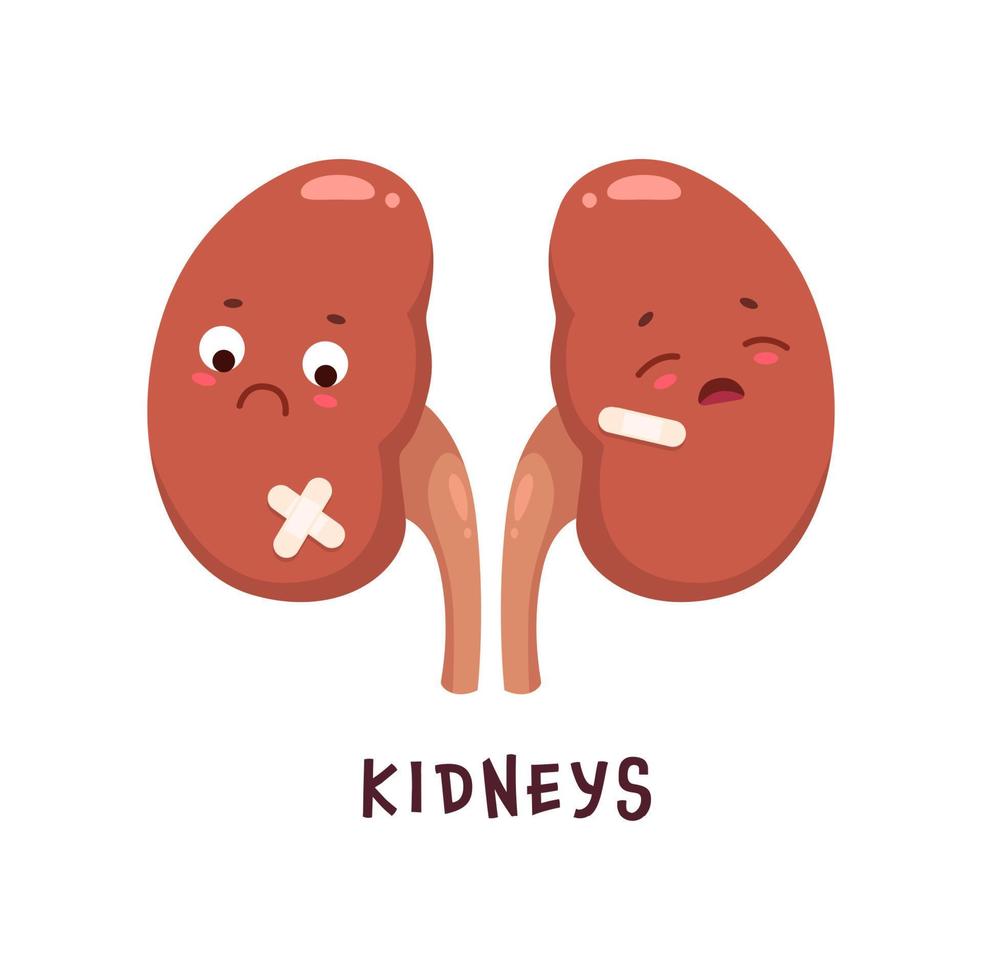 Kidneys, sick body organ character, unhealthy vector