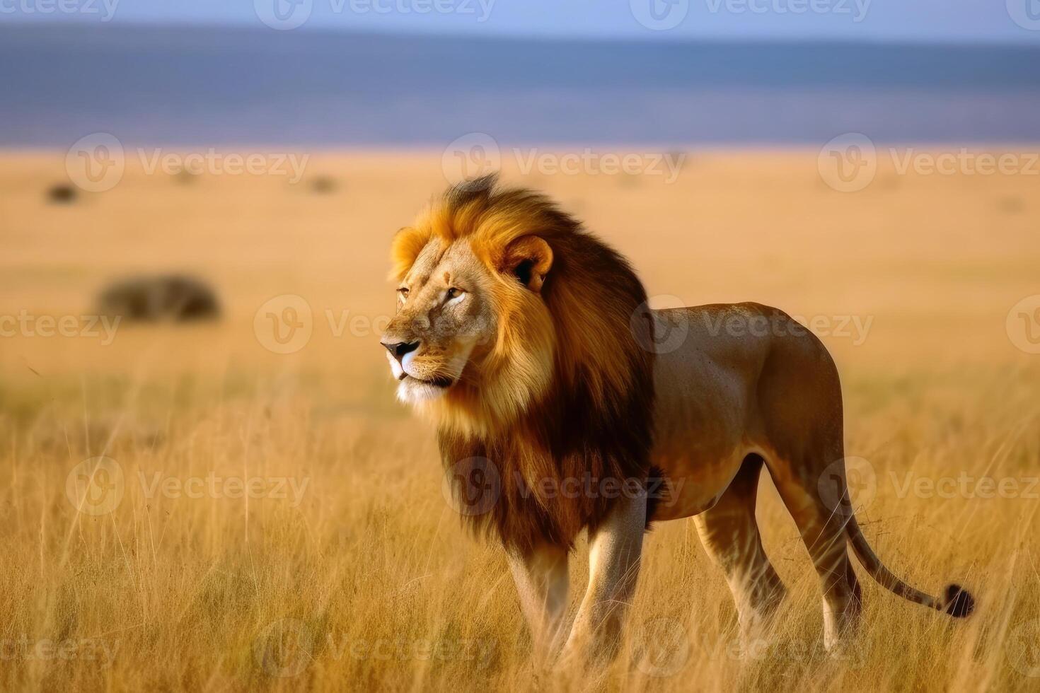 A male lion in the savannah king of animals created with technology. photo