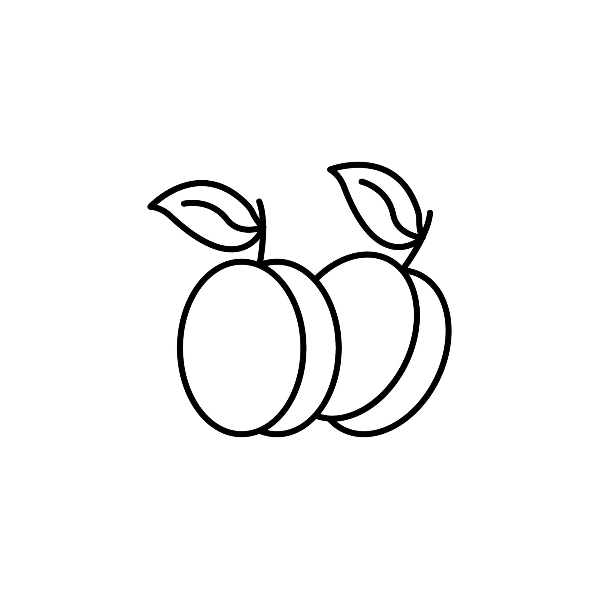 Plum fruit vector icon illustration 23195053 Vector Art at Vecteezy