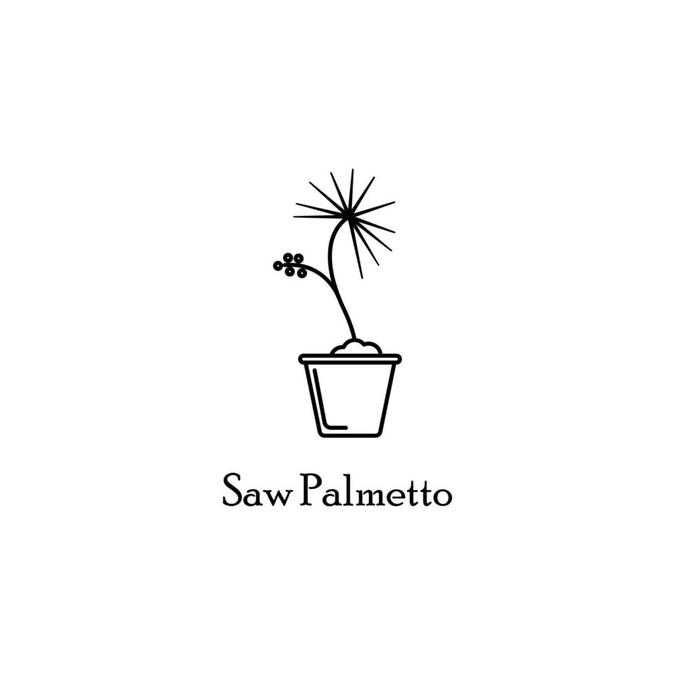 saw palmetto in pot vector icon illustration