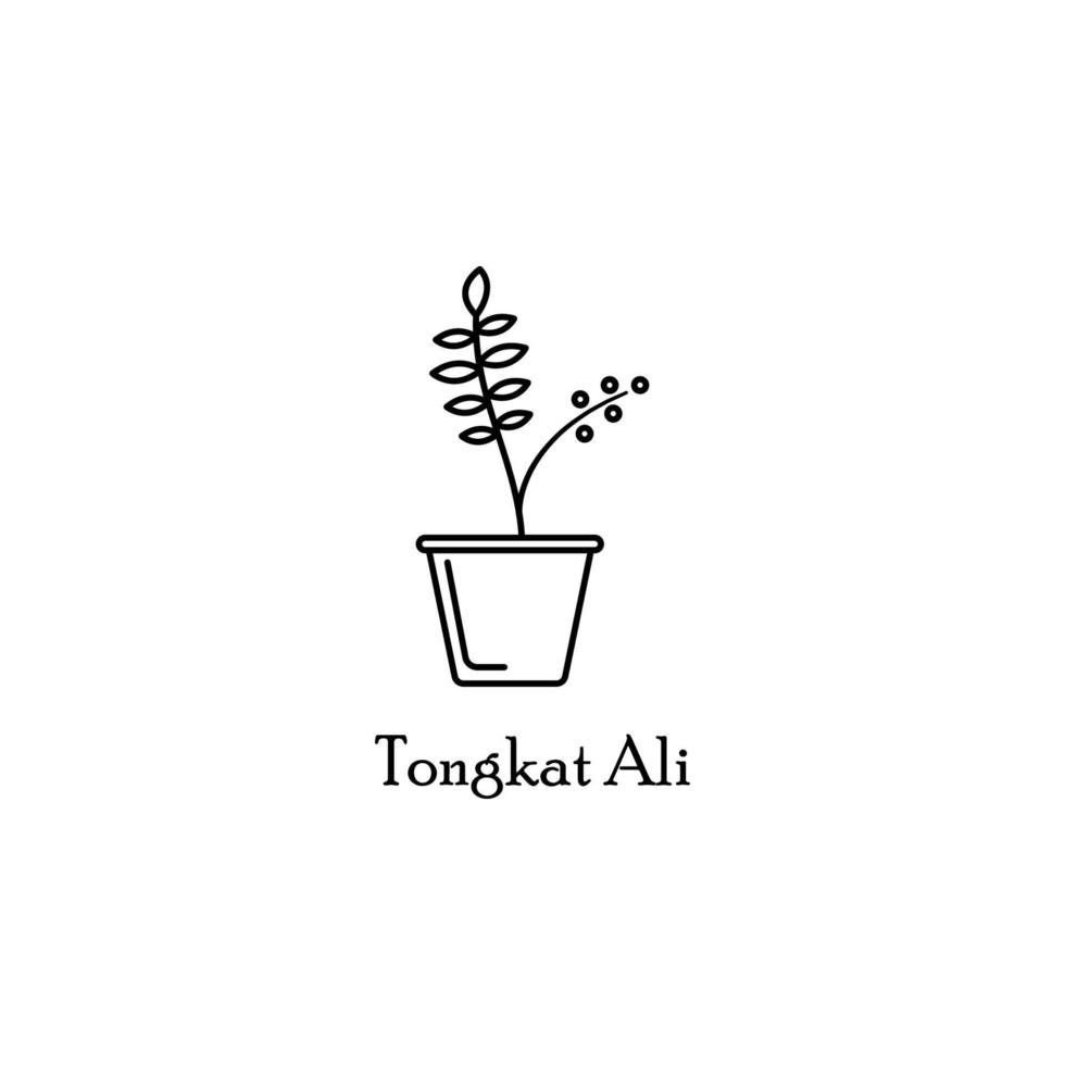 tongat ali in pot vector icon illustration