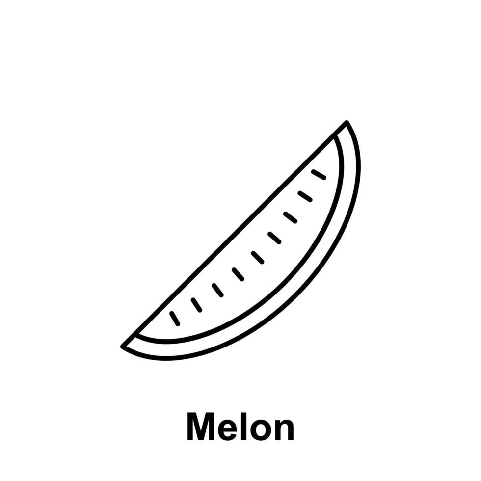 Melon vector icon illustration