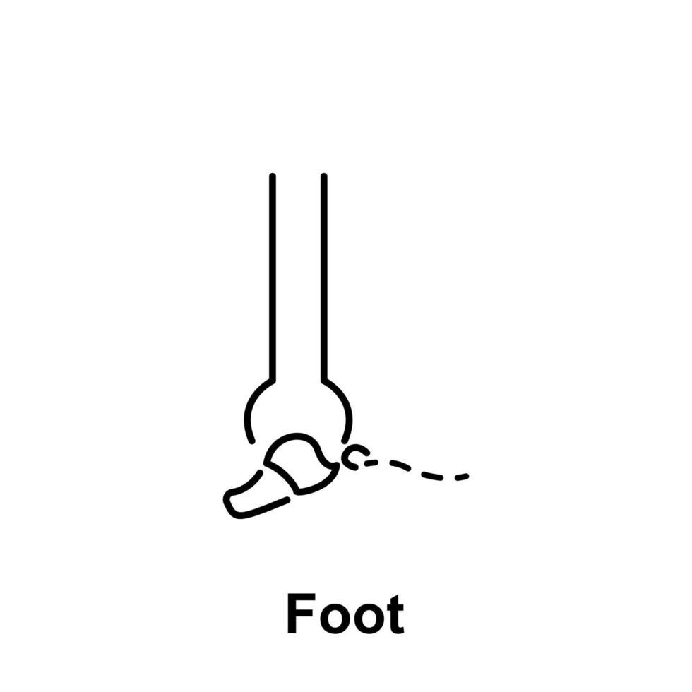 Foot, organ vector icon illustration