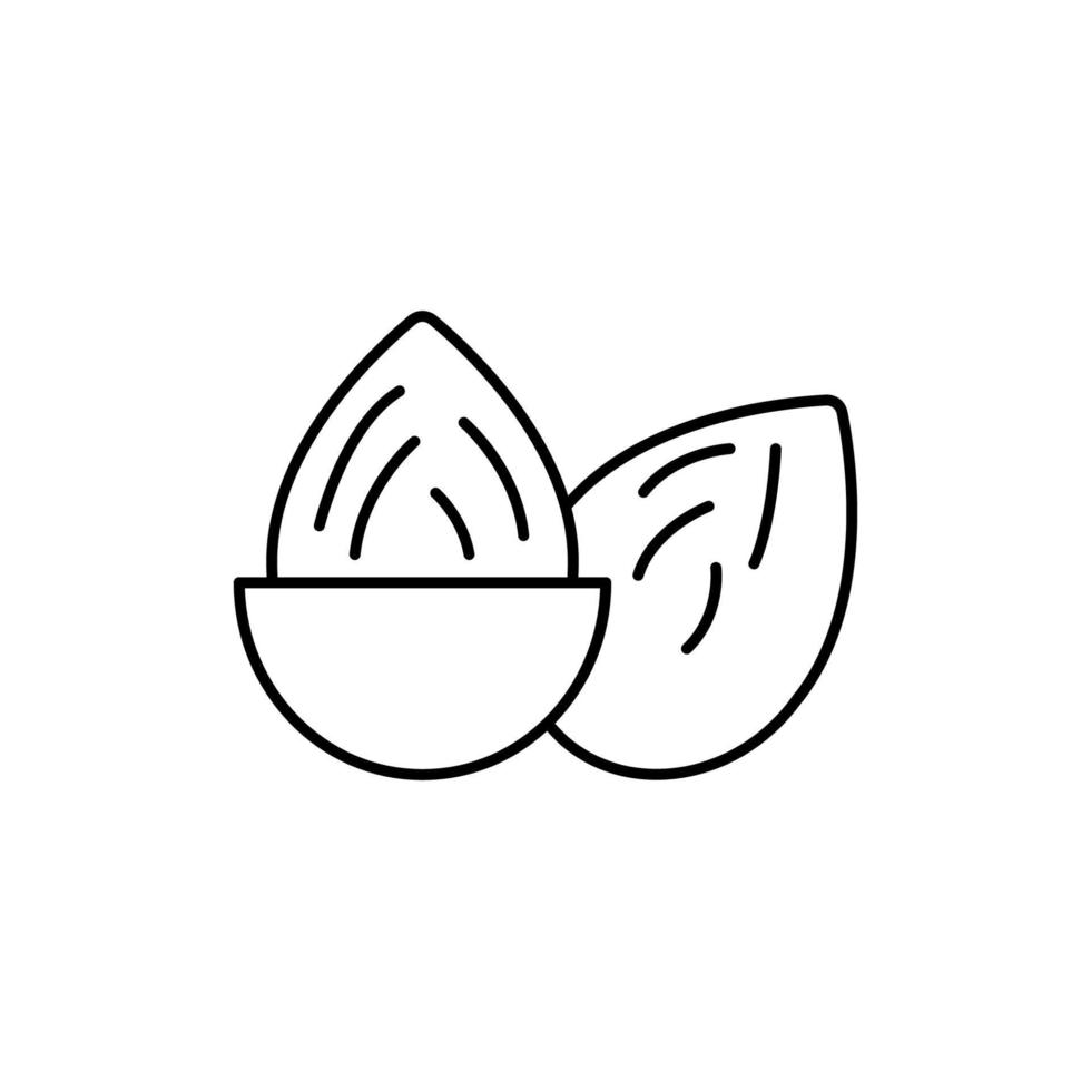 Almendras vector icono ilustración