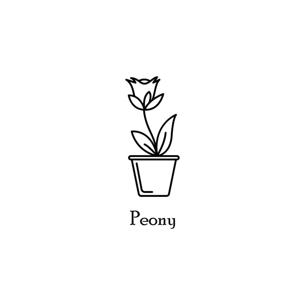 peony in pot vector icon illustration